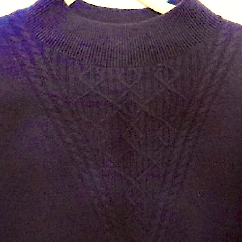 Isaac Mizrahi Cashmere 1X Mock Neck Sweater w/ Cable Detail Black NWOT